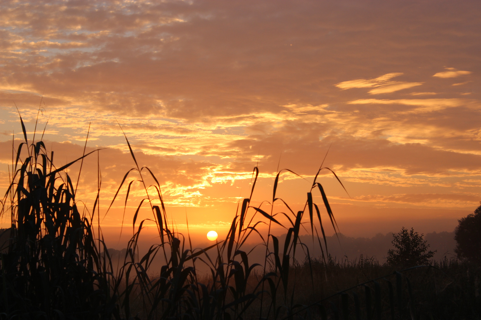 Der Himmel brennt