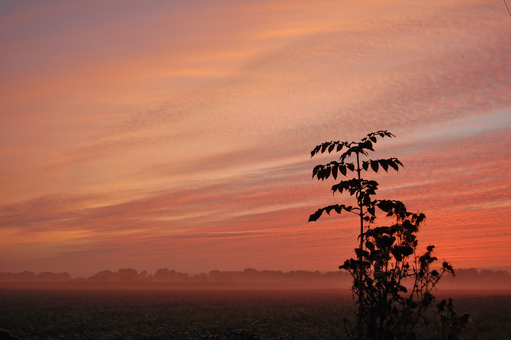 Der Himmel brennt