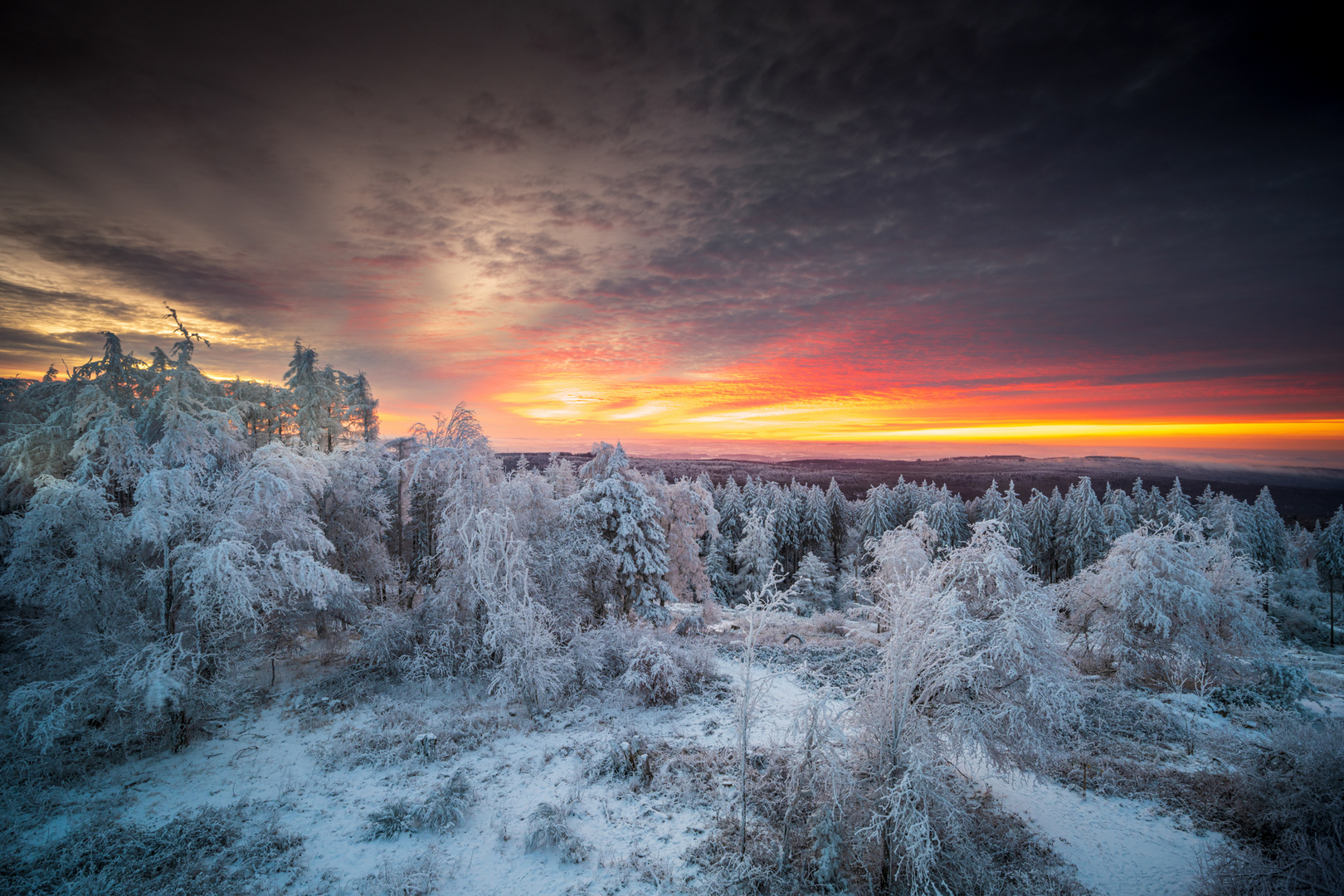 Der Himmel brennt im Winterwonderland