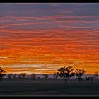 Der Himmel brennt in Australien NSW