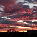 der Himmel brennt über Magdeburg  - 1 -