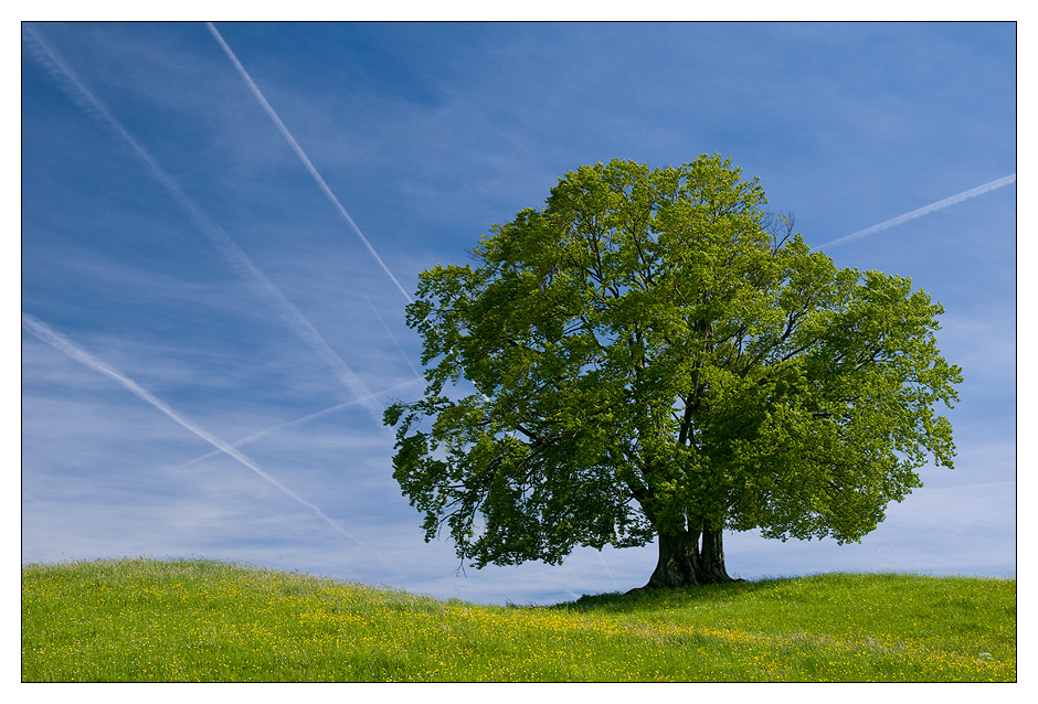 Der Himmel der Bayern