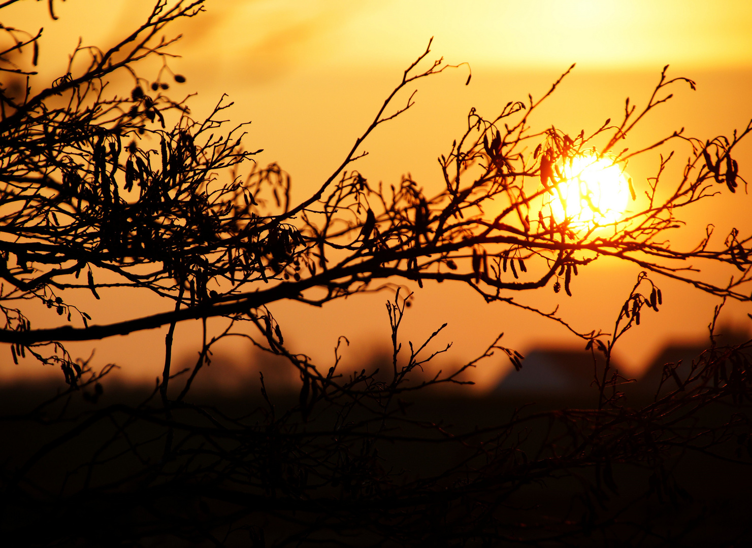 Der Himmel der Freude