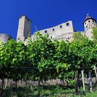 Der Himmel, die Burg, der Wein