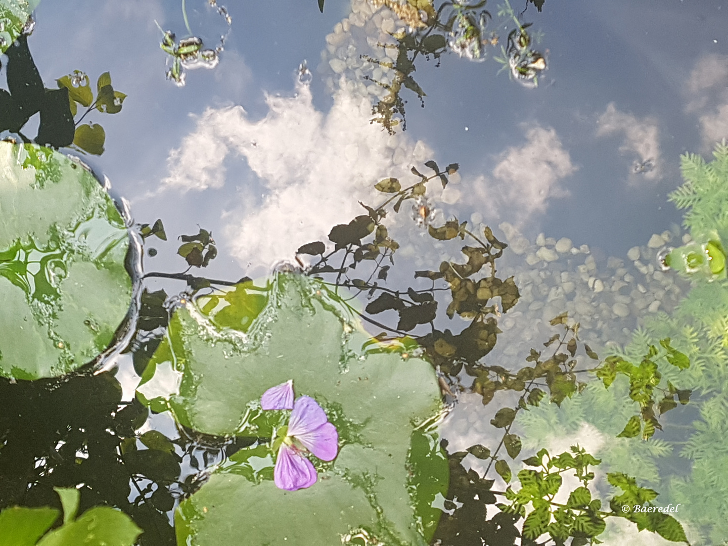 Der Himmel geht im Wasser unter... wohin fließen alle Tränen...