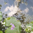 Der Himmel geht im Wasser unter... wohin fließen alle Tränen...