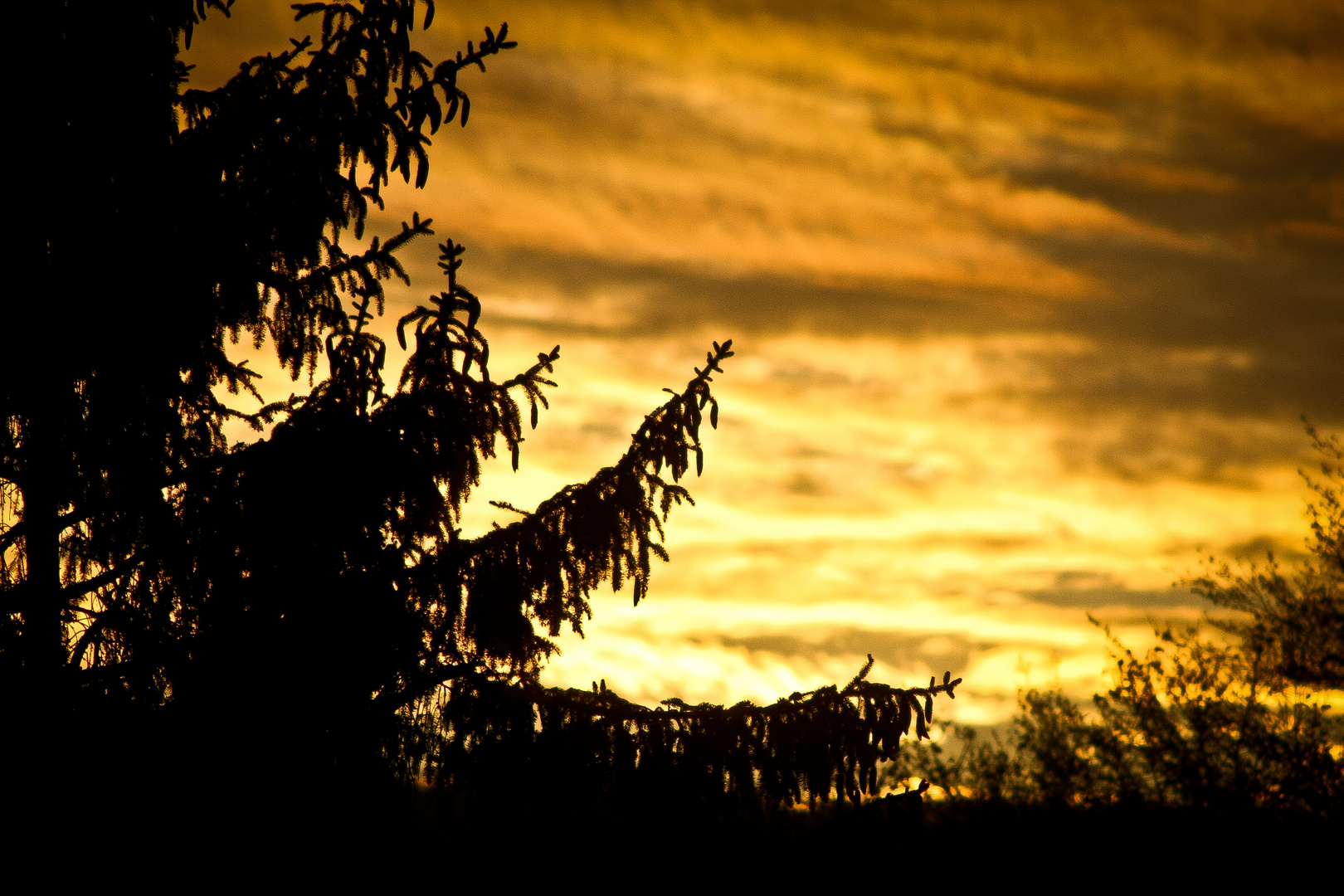 Der Himmel glüht