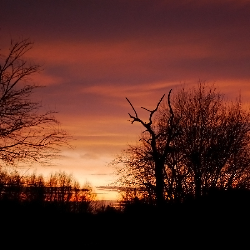 Der Himmel glüht.