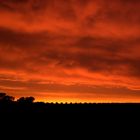 Der Himmel glüht über Tulbagh