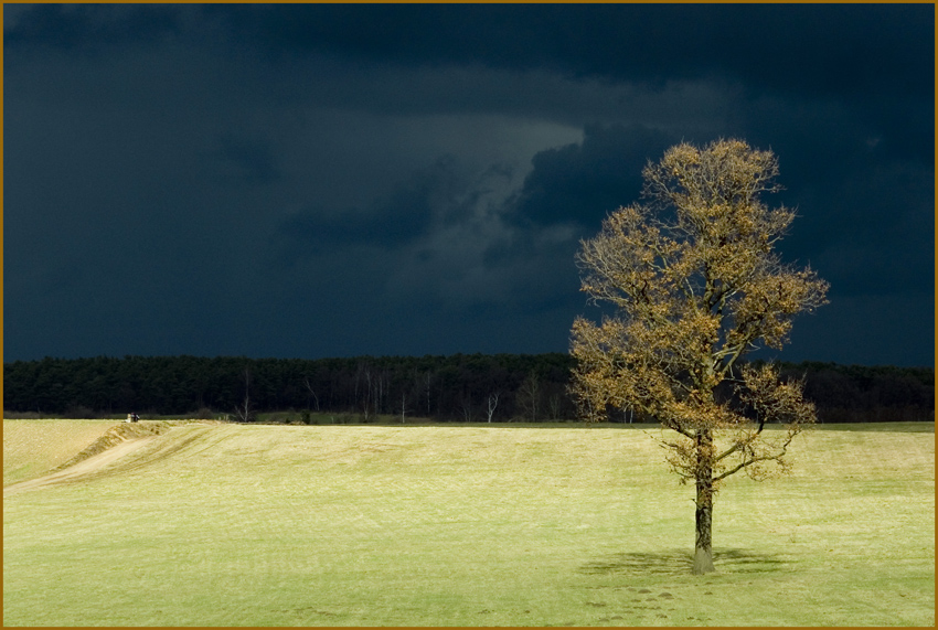 - der Himmel hat sich aufgetan -