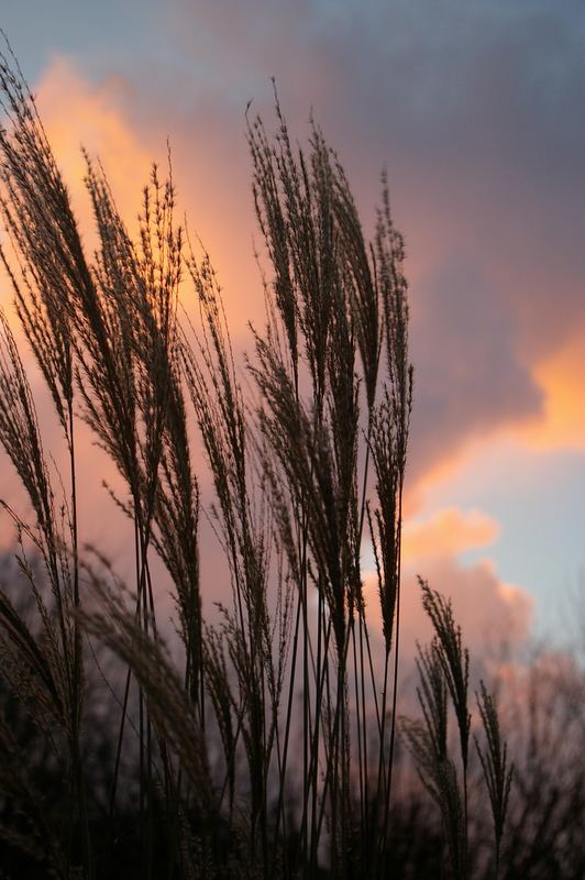 Der Himmel heute in Ostfriesland......