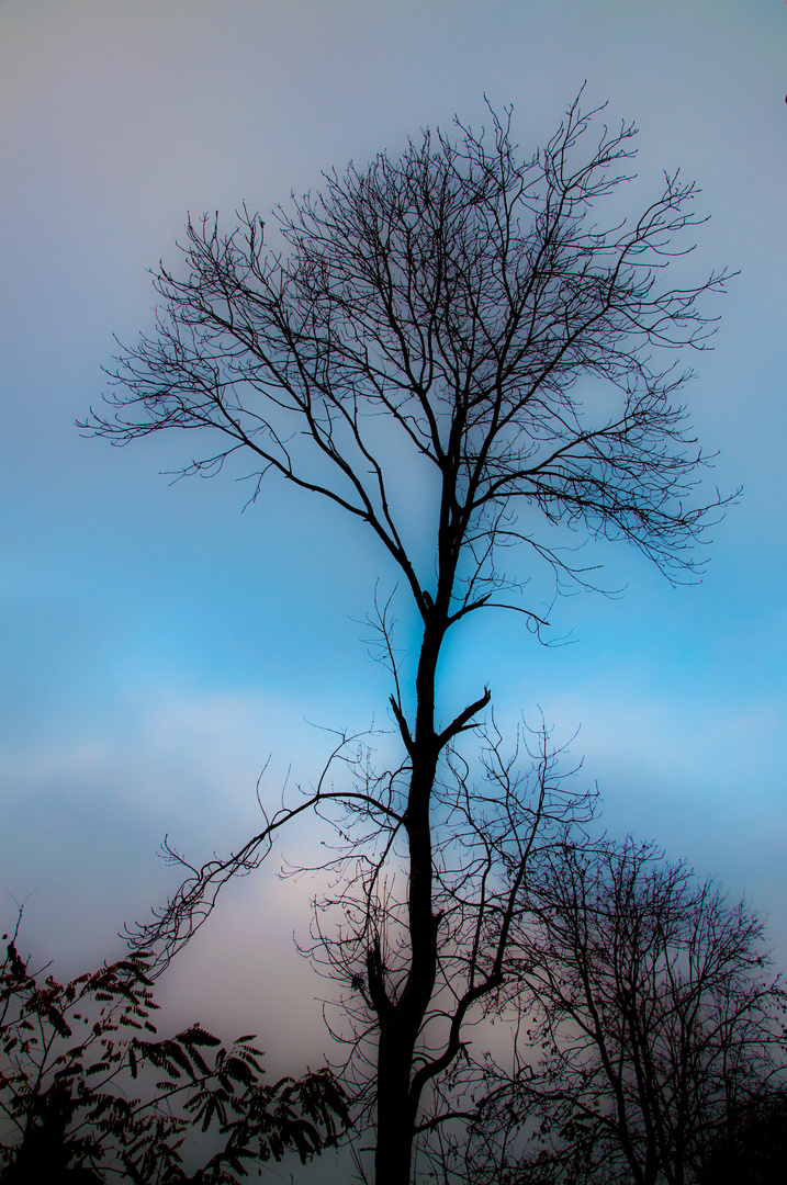 Der Himmel heute morgen