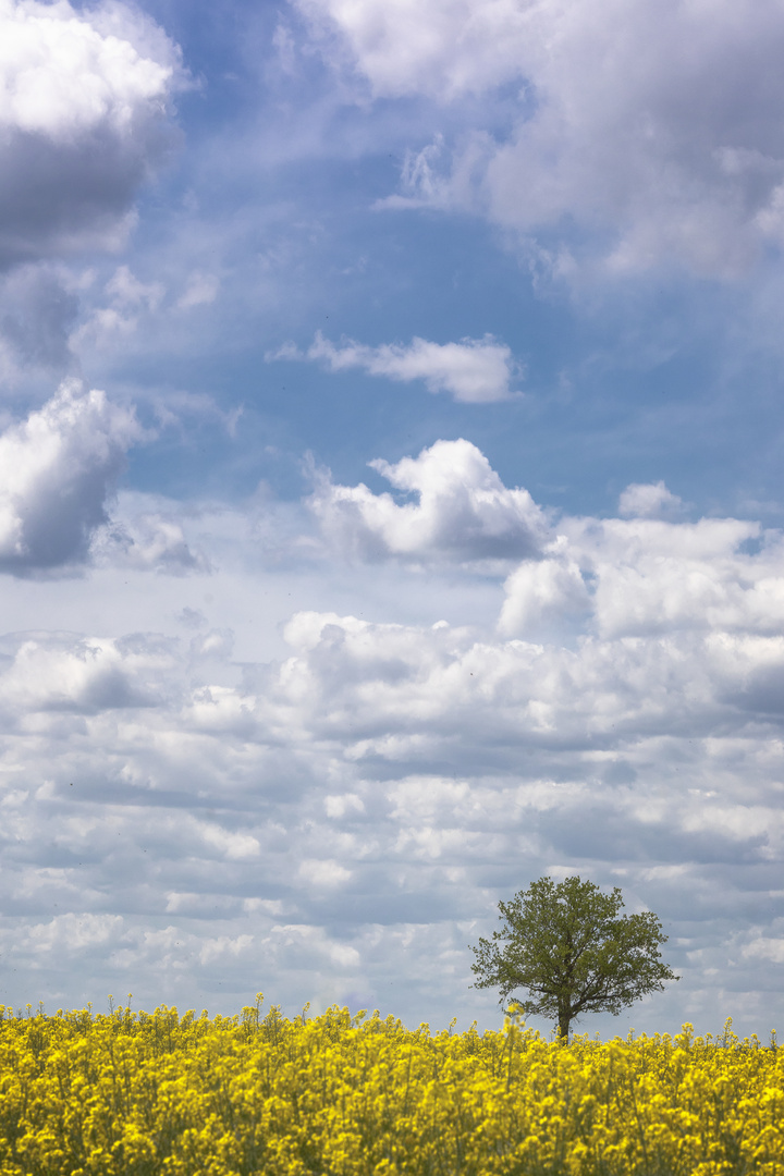 der Himmel  im Havelland ...