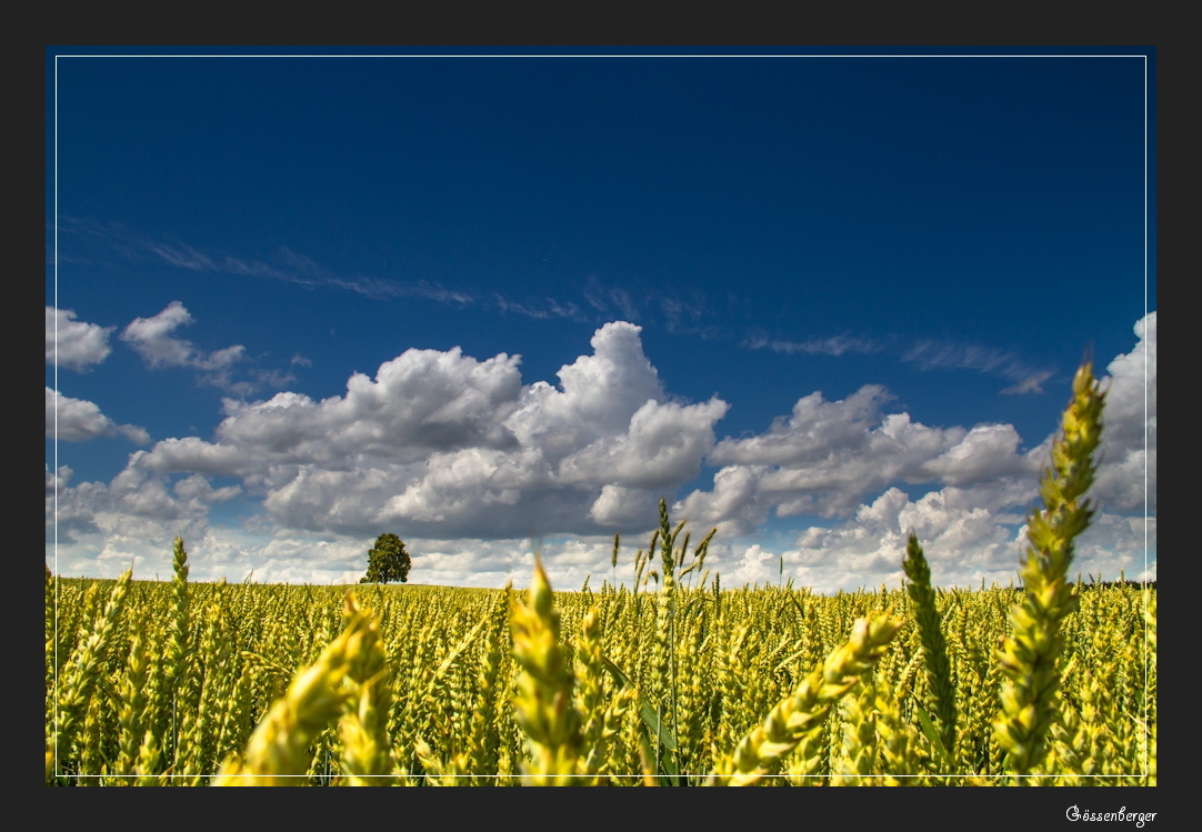 Der Himmel im Juli 1