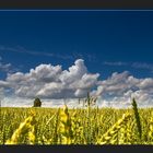 Der Himmel im Juli 1