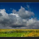 Der Himmel im Juli 10