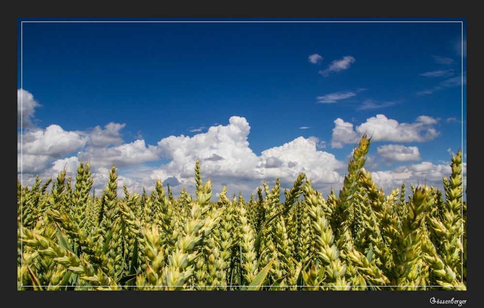 Der Himmel im Juli 2