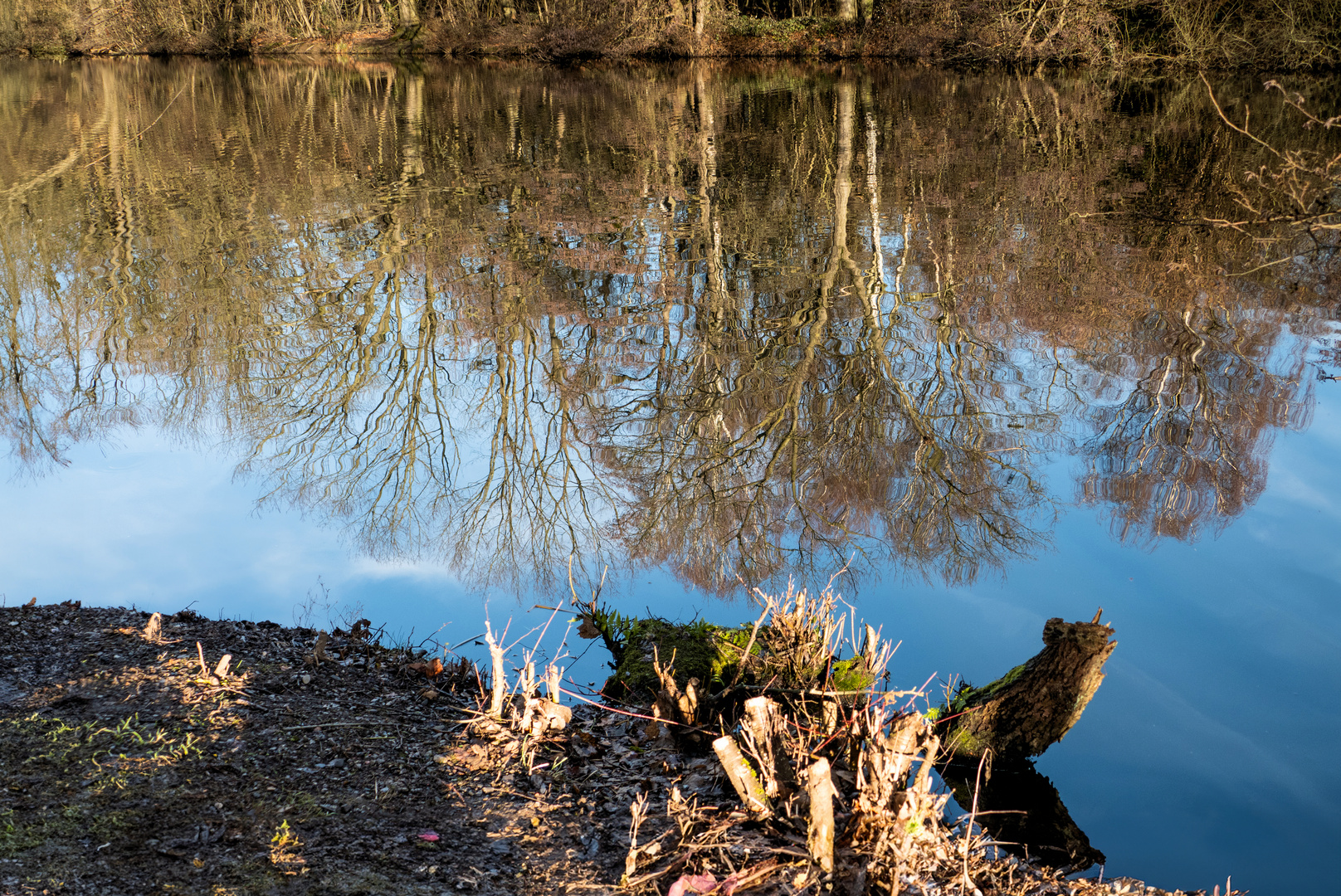 Der Himmel im See