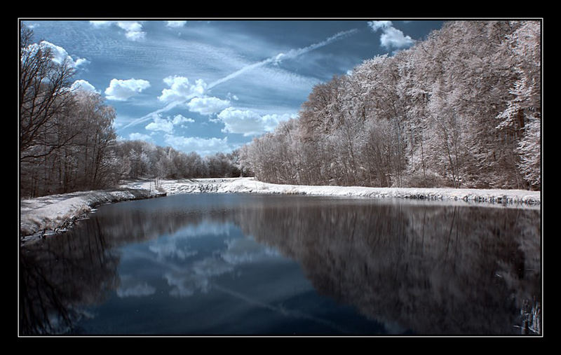 Der Himmel im Teich