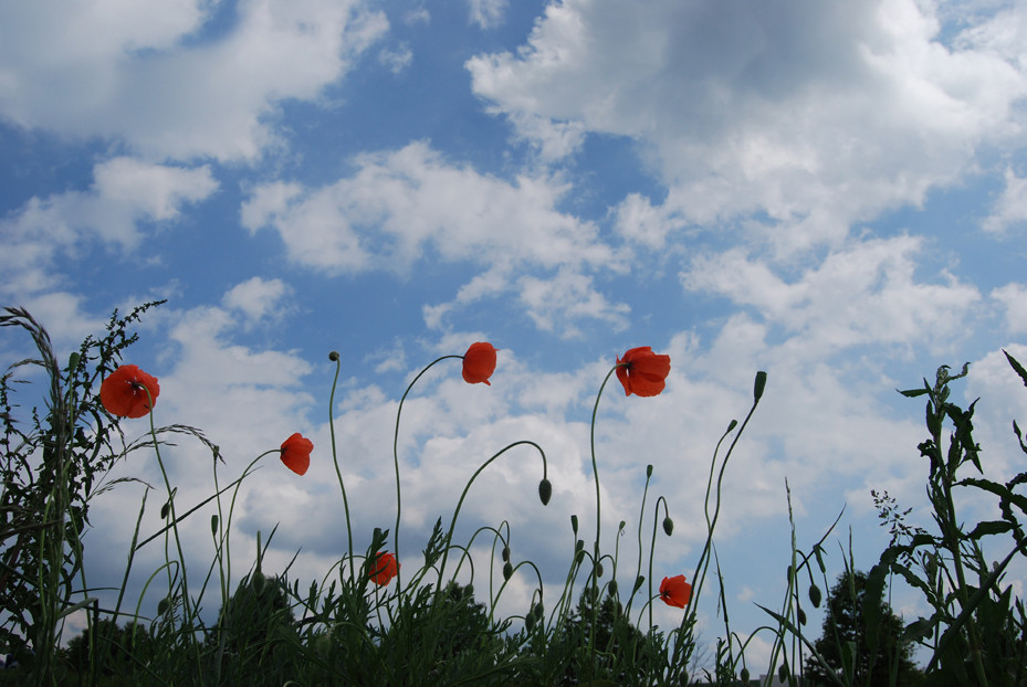 Der Himmel in Frankreich...