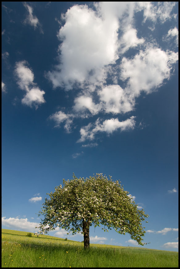 Der Himmel in Mai