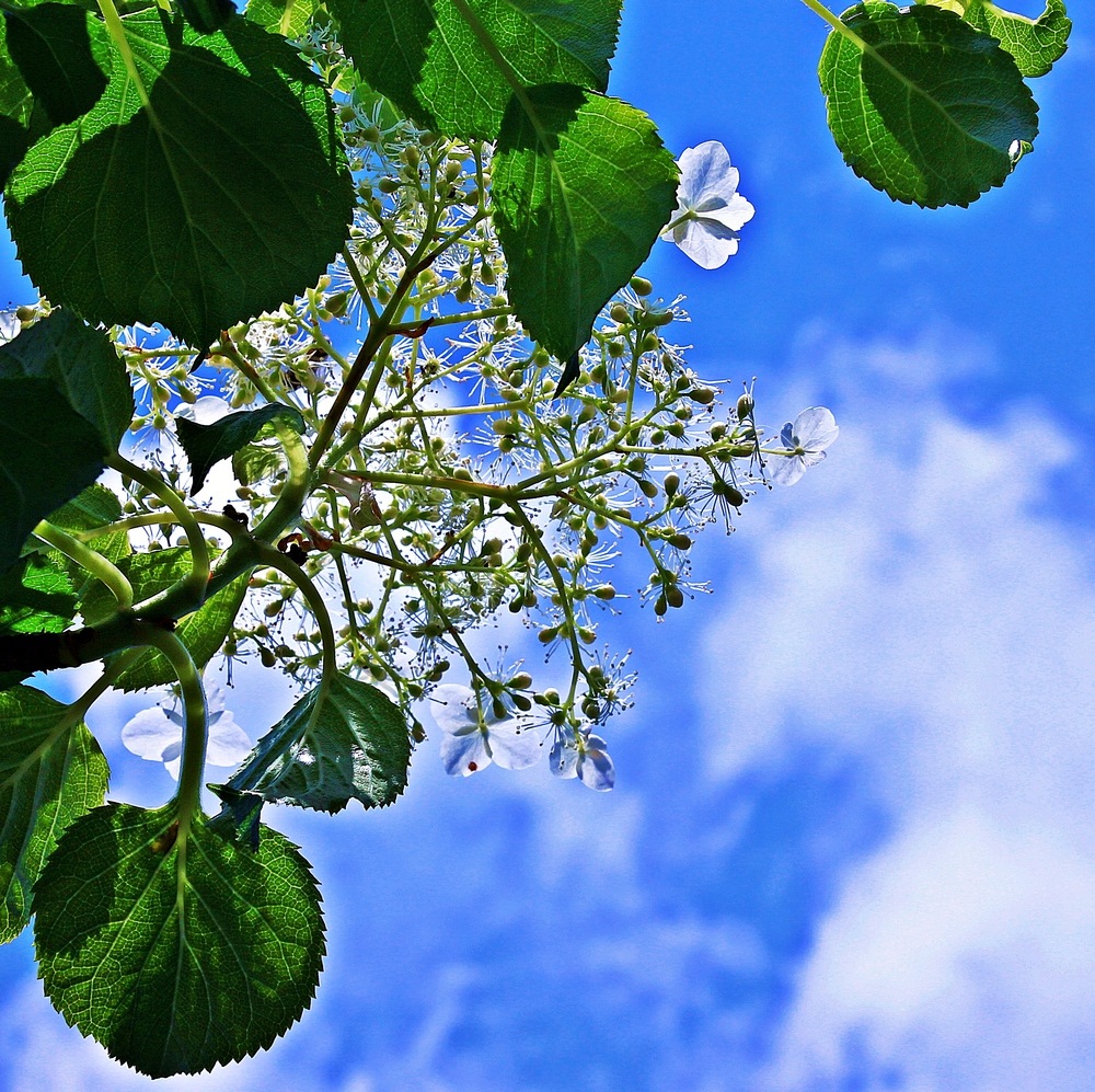 Der Himmel ist blau