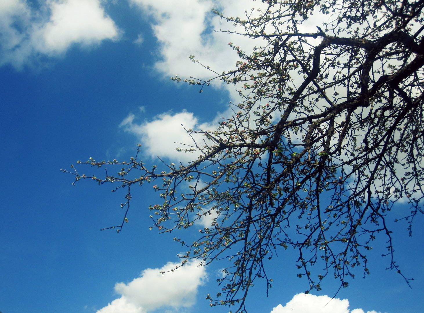 der himmel ist blau