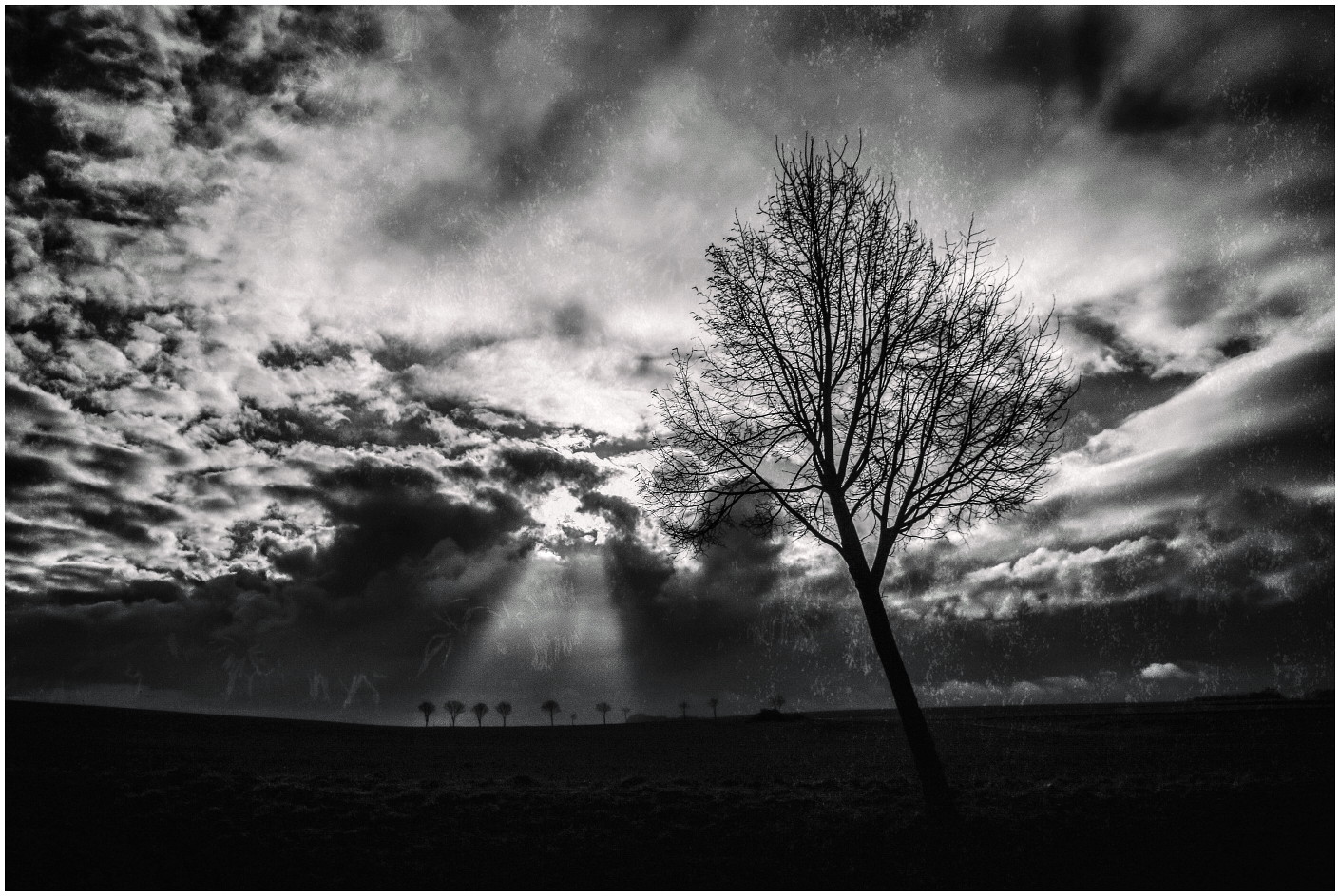 Der Himmel muß verrückt sein