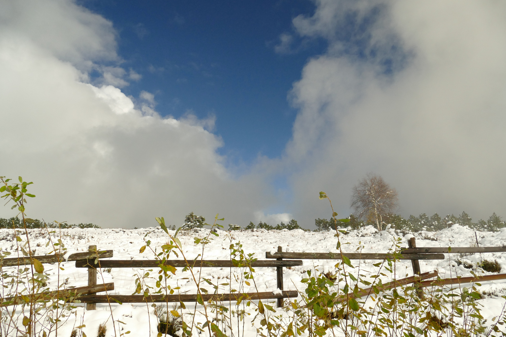 °°°° Der Himmel reißt auf °°°°