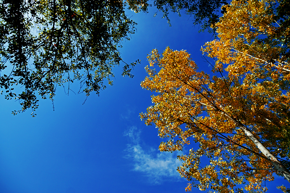 Der Himmel so blau...