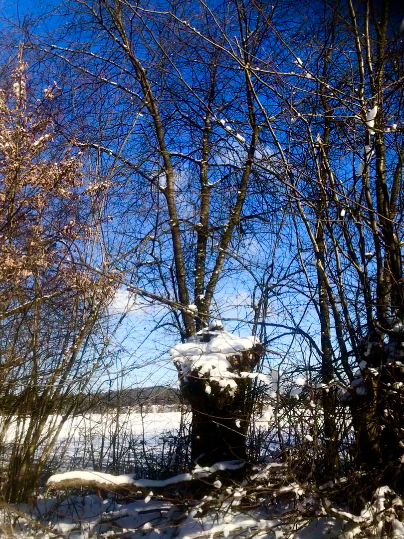 Der Himmel so blau an Wintertagen 