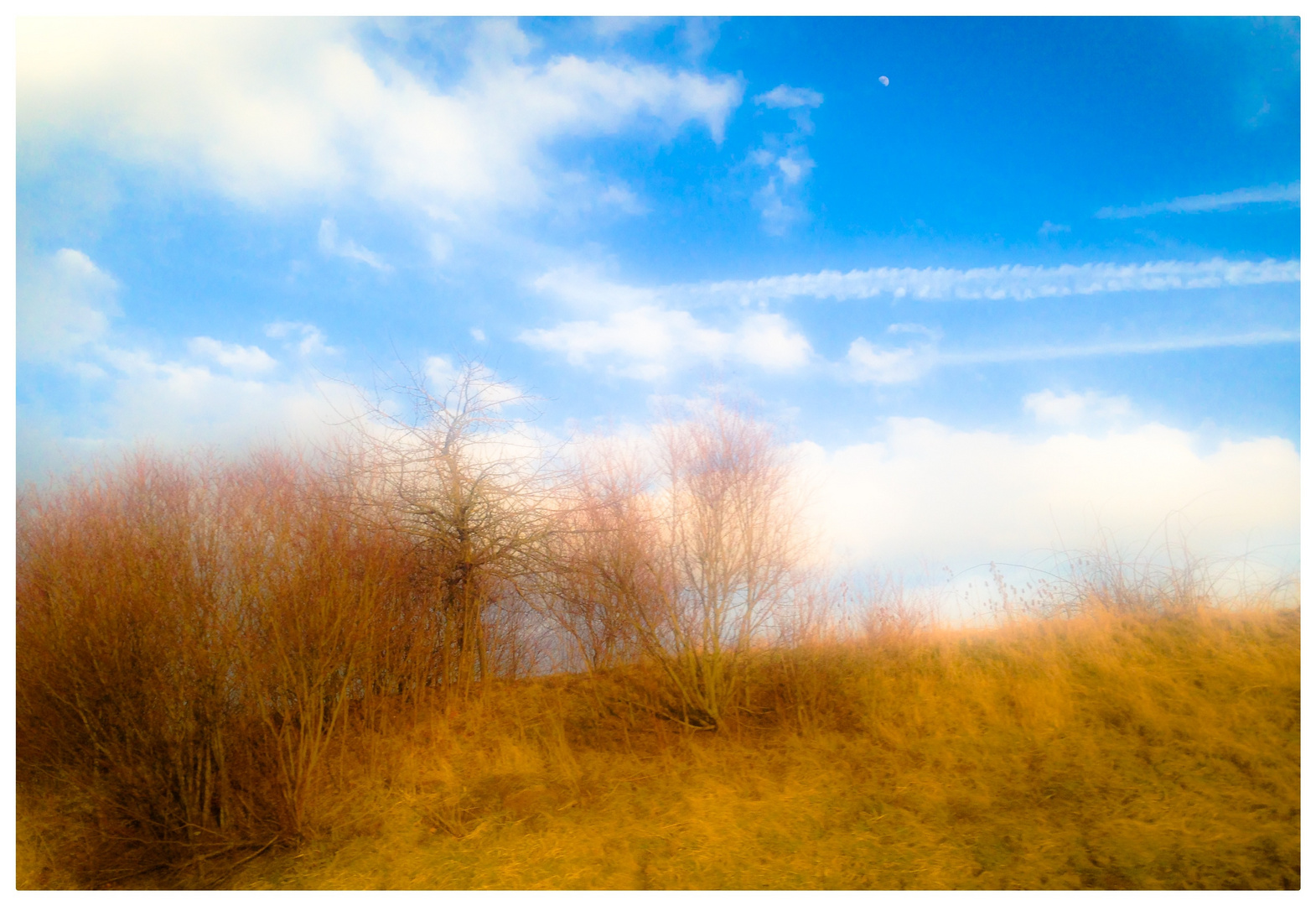 Der Himmel so blau und zart die weißen Wolken