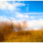 Der Himmel so blau und zart die weißen Wolken