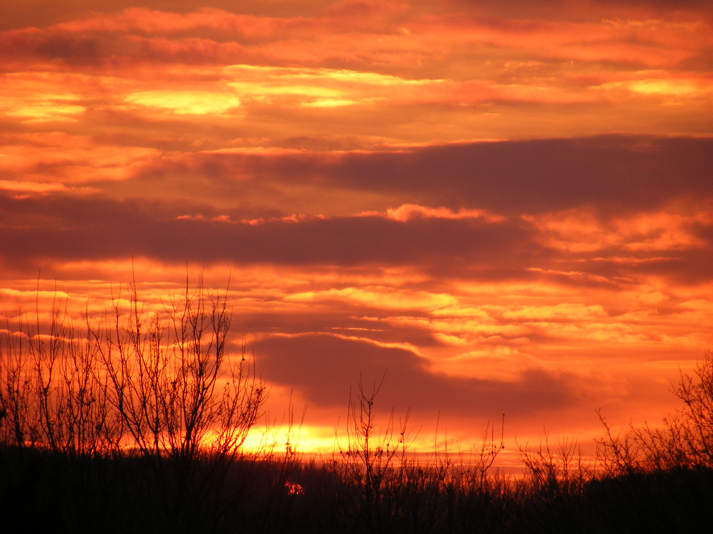 Der Himmel so rot