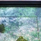 Der Himmel spiegelt sich im Glasboden des Skywalk am Sonnenstein 