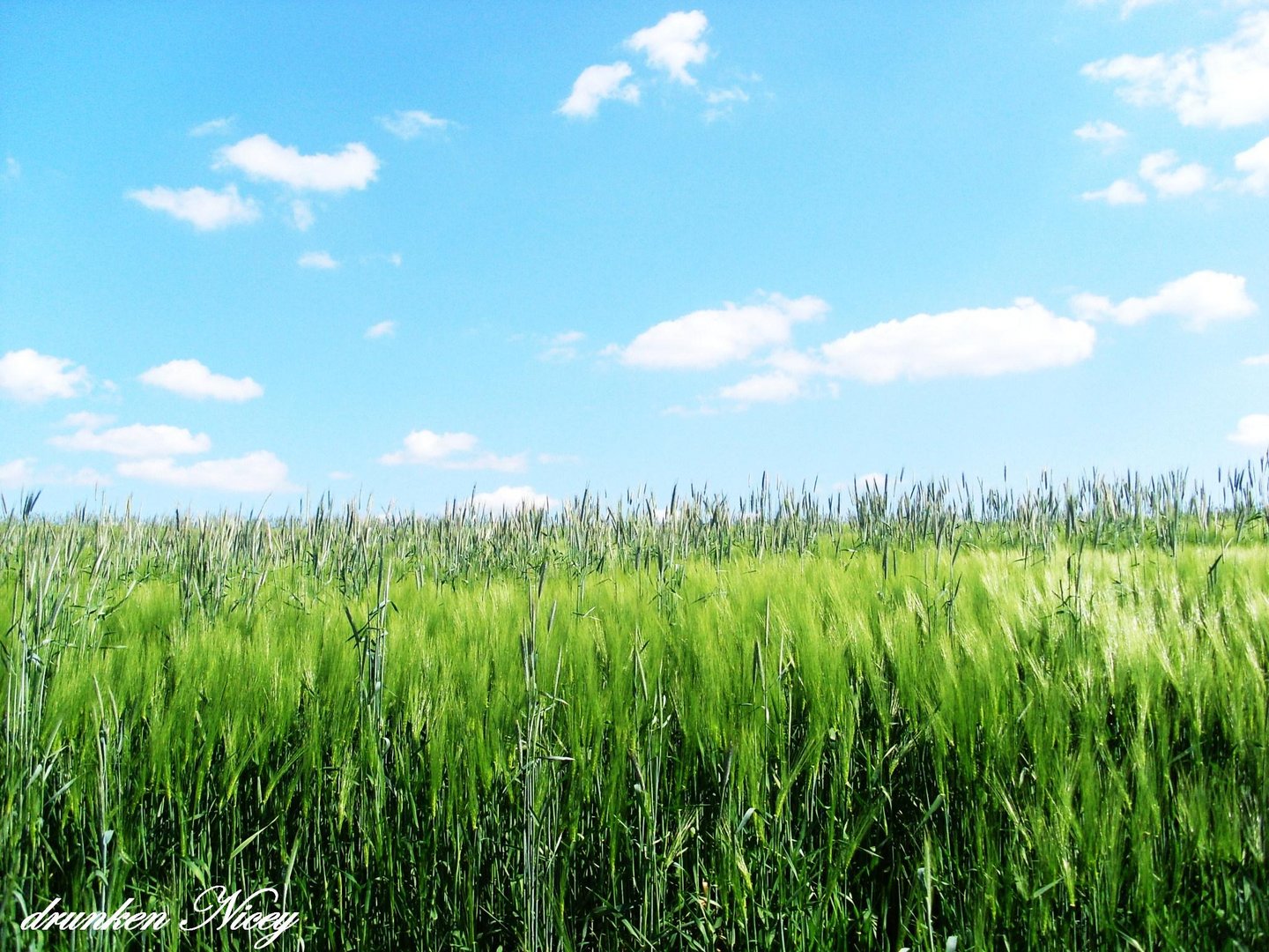 der himmel steckt voller Fantasie