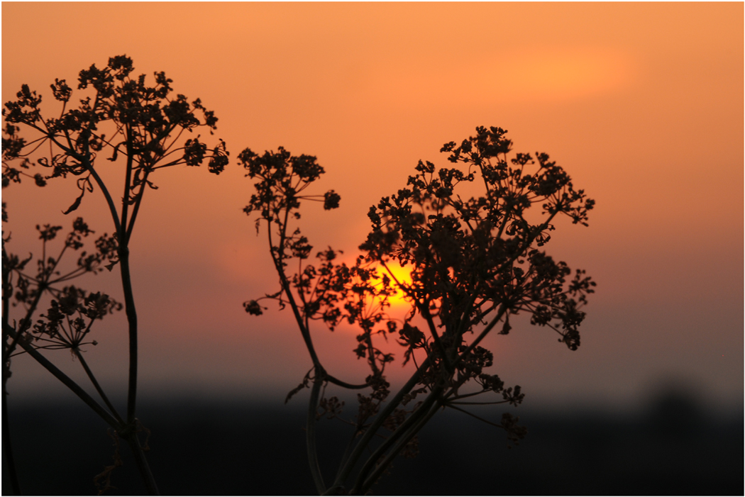 der Himmel über Afrika...