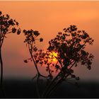 der Himmel über Afrika...