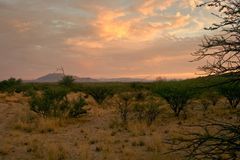 Der Himmel über Afrika