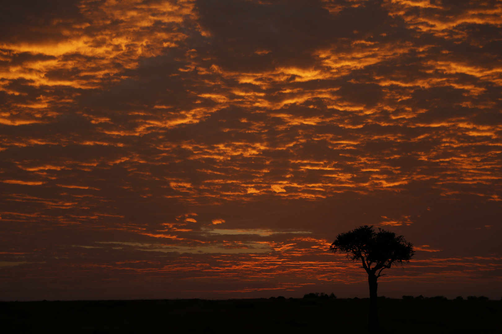 Der Himmel über Afrika brennt