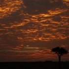 Der Himmel über Afrika brennt