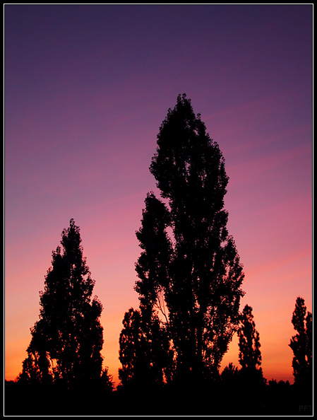 Der Himmel über Berlin 8