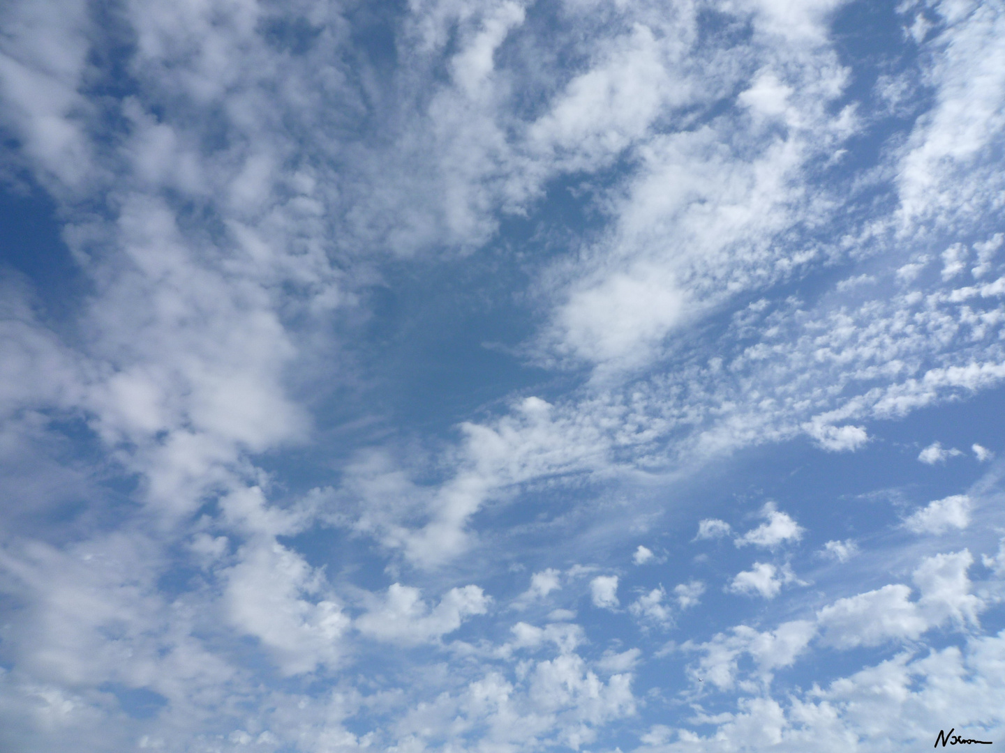 Der Himmel über Berlin