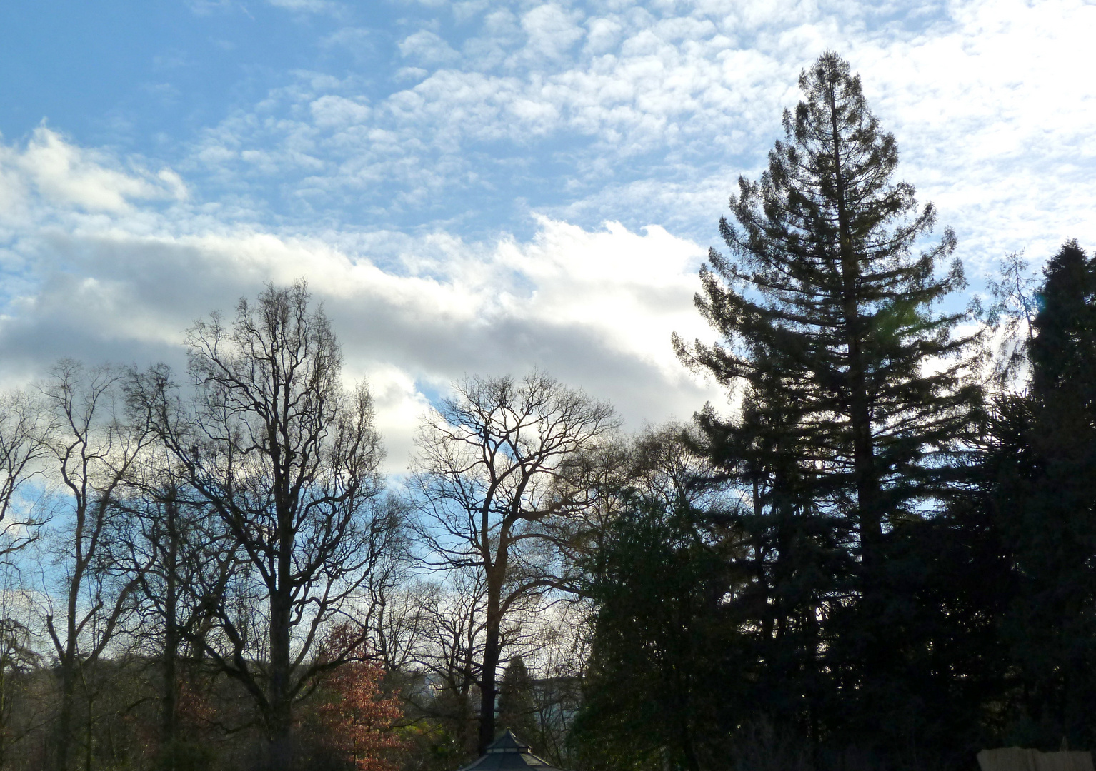 der Himmel über Bonn