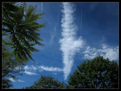 Der Himmel über dem alten US Flughafen Karlsruhe 10.7.2016-2