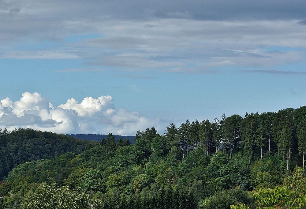 Der Himmel über dem Arnsberger Wald