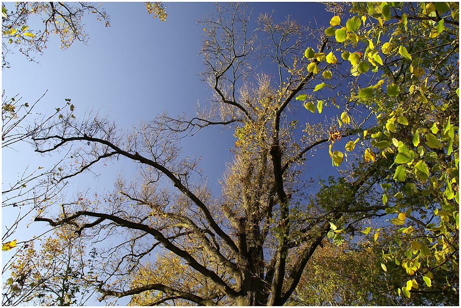 - Der Himmel über dem Fließtal -