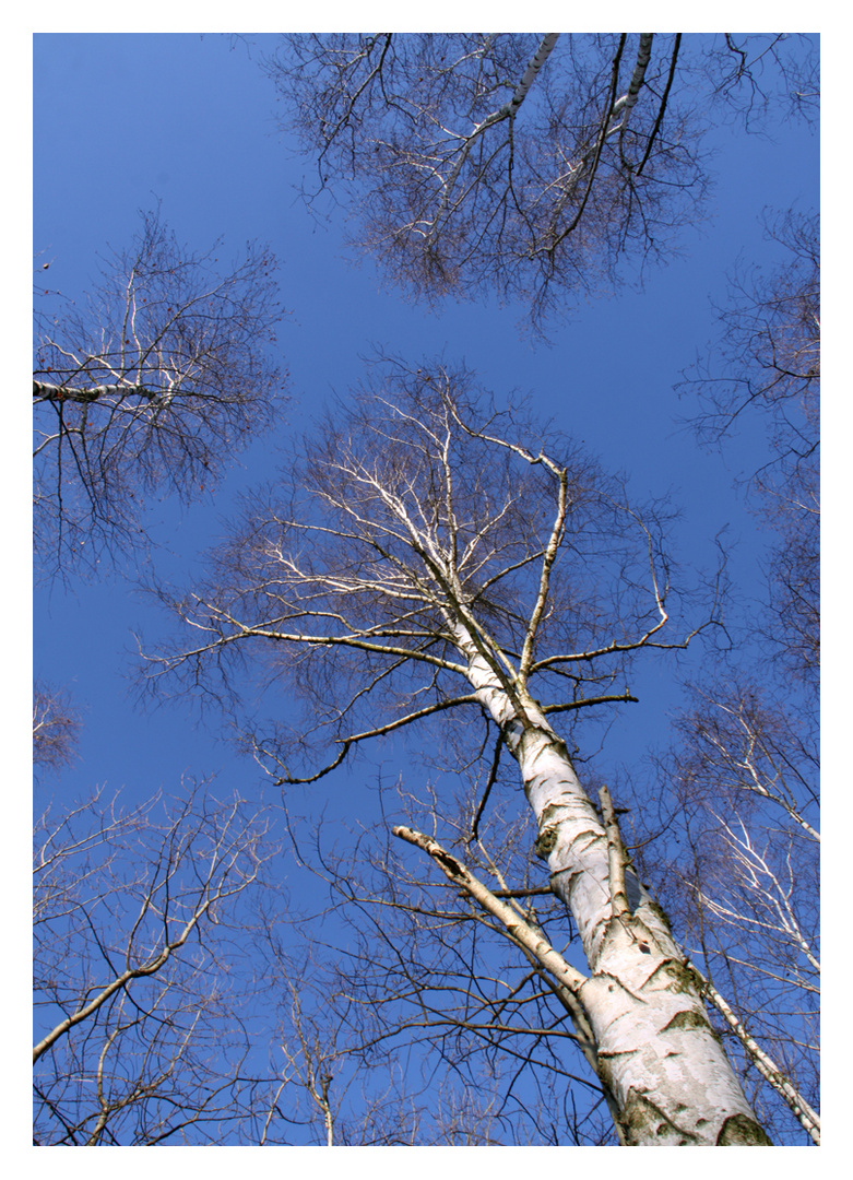 der Himmel über dem Gleisdreieck