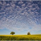 Der Himmel über dem Kraichgau