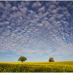 Der Himmel über dem Kraichgau